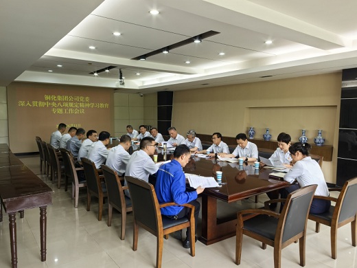 集團(tuán)公司黨委召開(kāi)專題工作會(huì)議對(duì)整治違規(guī)吃喝問(wèn)題進(jìn)行再?gòu)?qiáng)調(diào)再部署