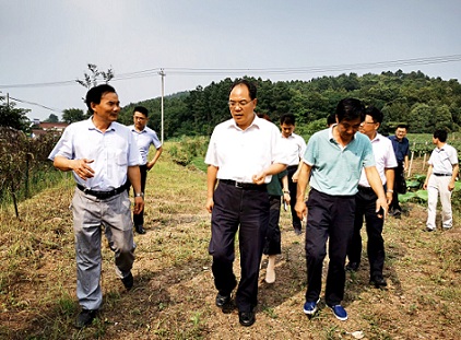 趙振華實地調研六國扶貧項目時要求    努力做強做優(yōu)集體產(chǎn)業(yè)   帶動更多群眾脫貧致富